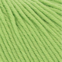 MERINO+