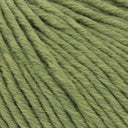 MERINO+